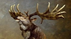 Големи елен